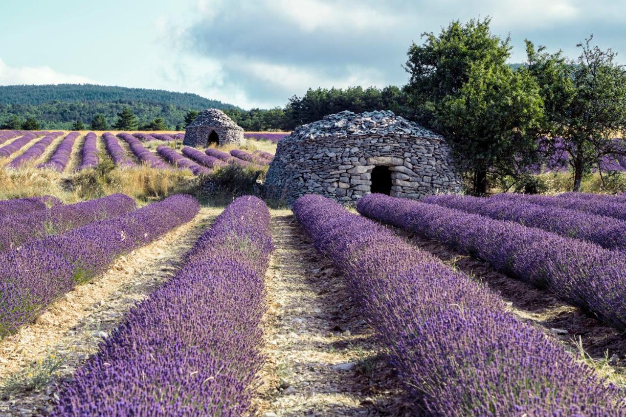 Gite La Bastide De La Loge Au Pied Du Mont Ventoux Sault-de-Vaucluse Eksteriør bilde